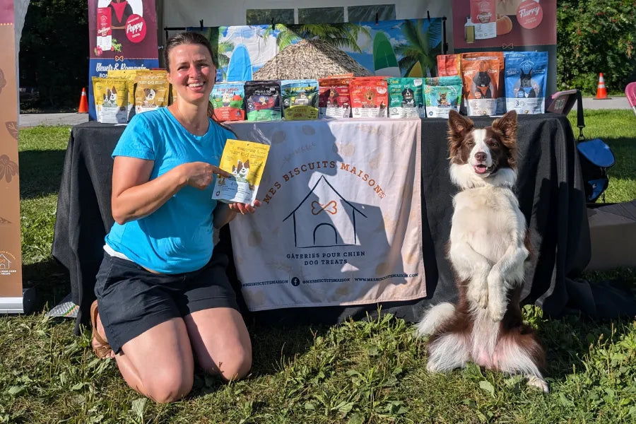 Dog Training Treat: How to Choose the Right Reward (Without Too Many Calories)