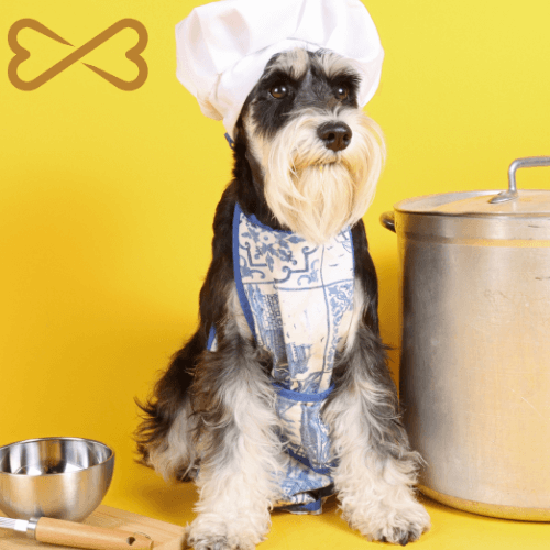 Gastronomie durable : Un choix responsable pour votre chien