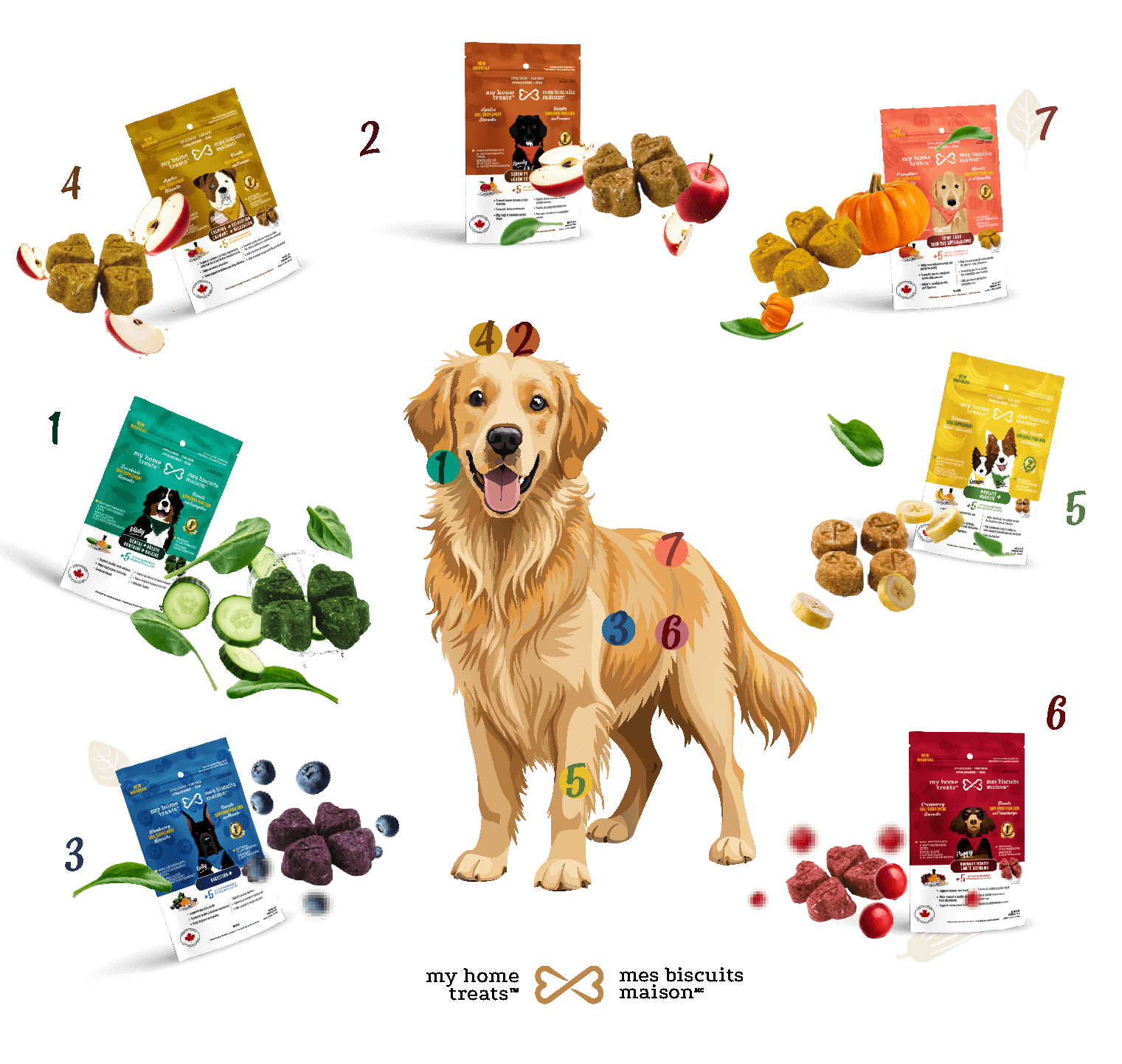 Suppléments canins: quels suppléments choisir pour la santé de votre chien ?