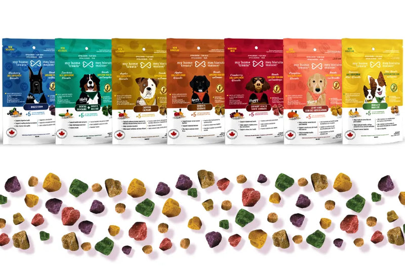 Dog Supplement: What They Do, How to Choose & How to Use Daily