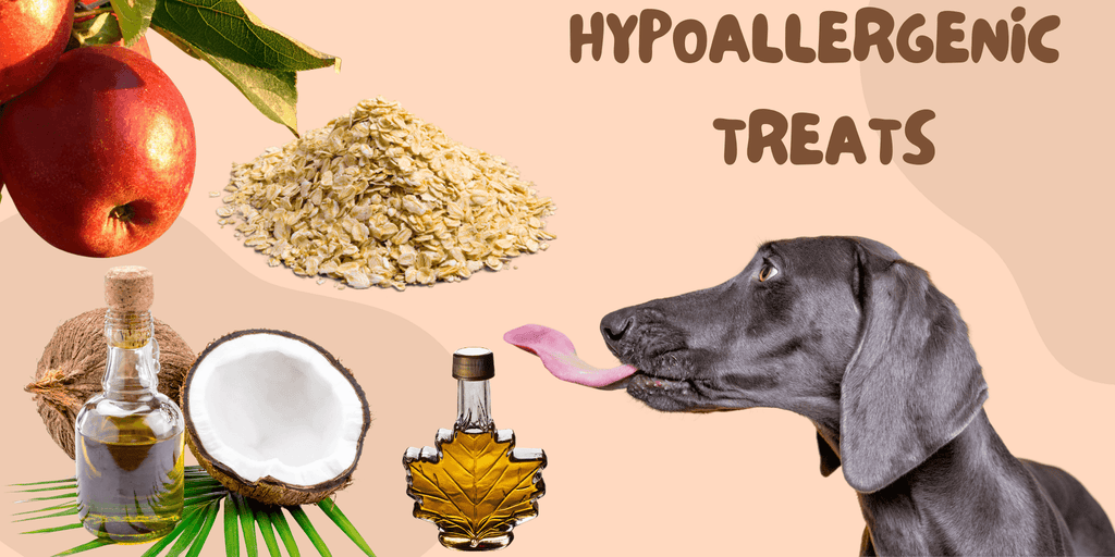 Banner for hypoallergenic treats page on myhometreats website