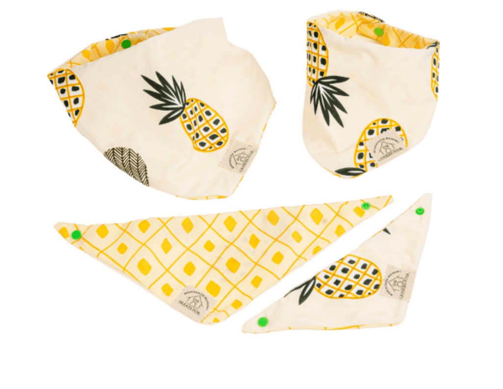 bandana chien style ananas vue devant