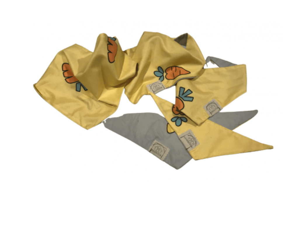 bandana chien style carotte jaune vue devant