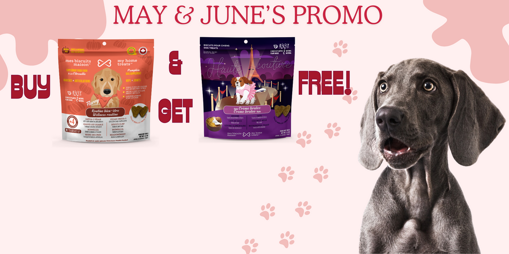 banner of website myhometreats.ca for May and June 2024