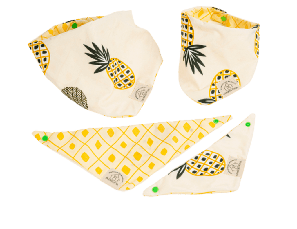 dog bandana pineapple pattern front view