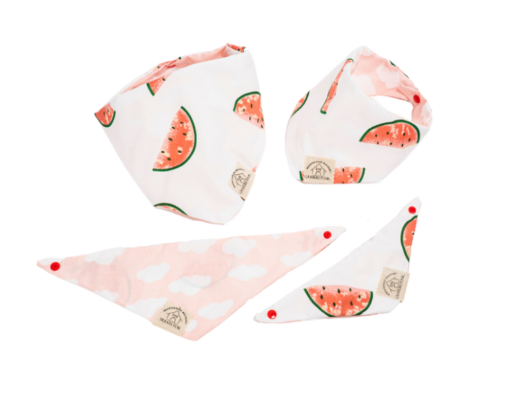 dog bandana watermelon pattern front view