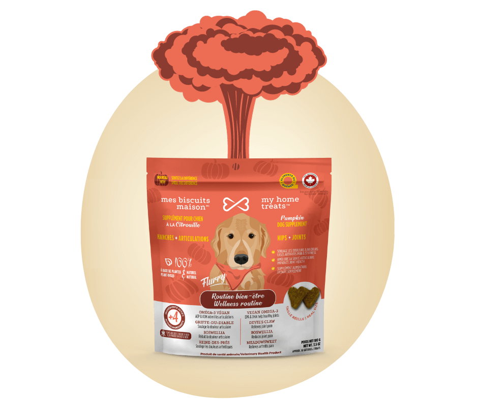 flavors supplement treats dog homepage myhometreats website