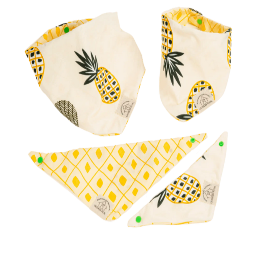 Bandanas