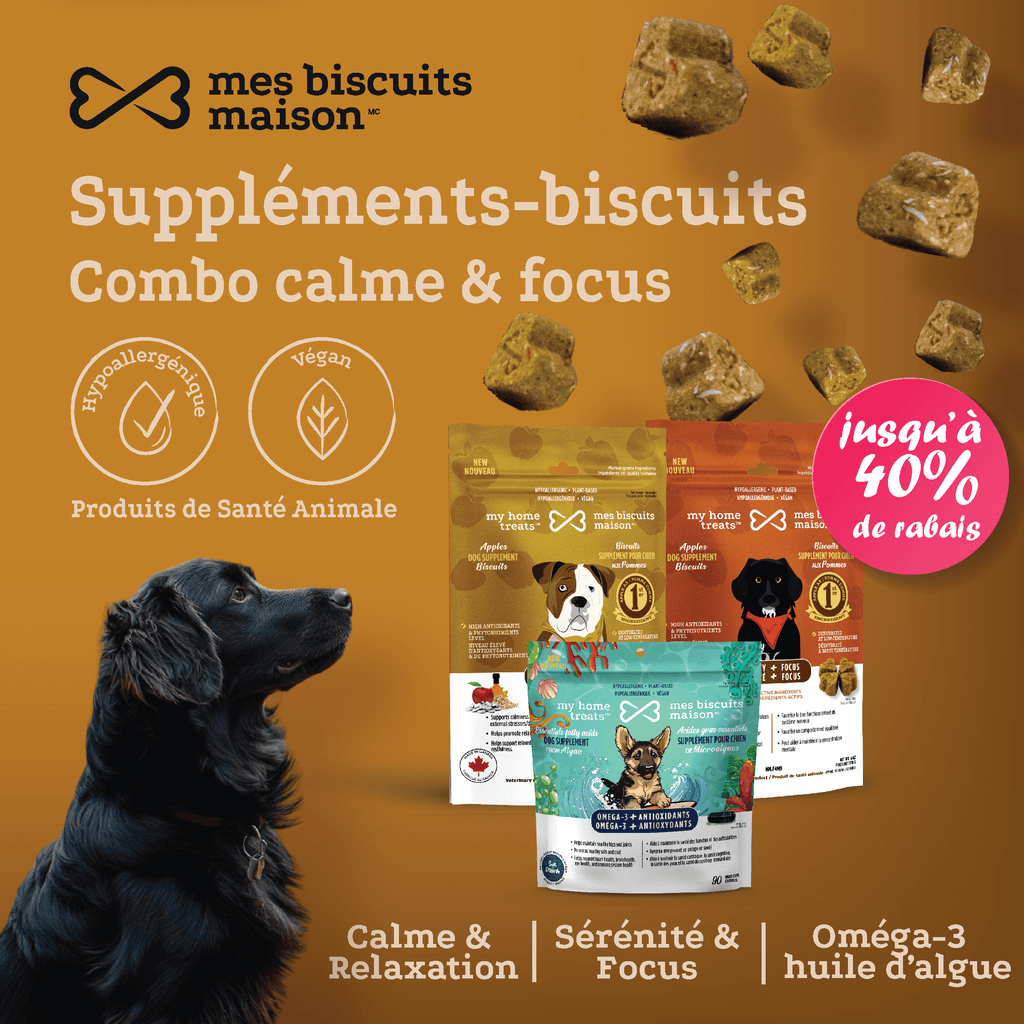 Image promotionnelle pour les suppléments pour chiens calmes et cognitifs, montrant des friandises et suppléments hypoallergéniques naturels et à base de plantes pour chiens de mesbiscuitsmaison.ca.