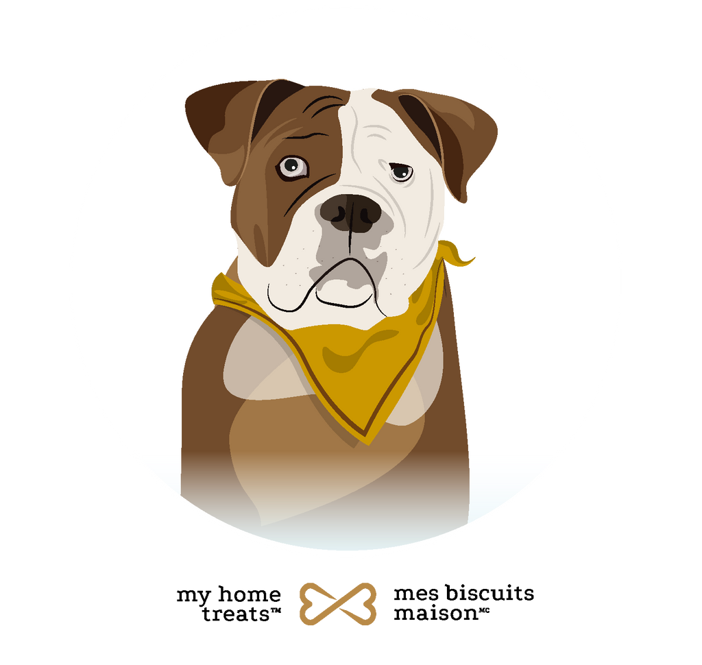 Illustration of Sleepy, a Bulldog with a yellow bandana, promoting calmness and relaxation through hypoallergenic dog treats & supplements.