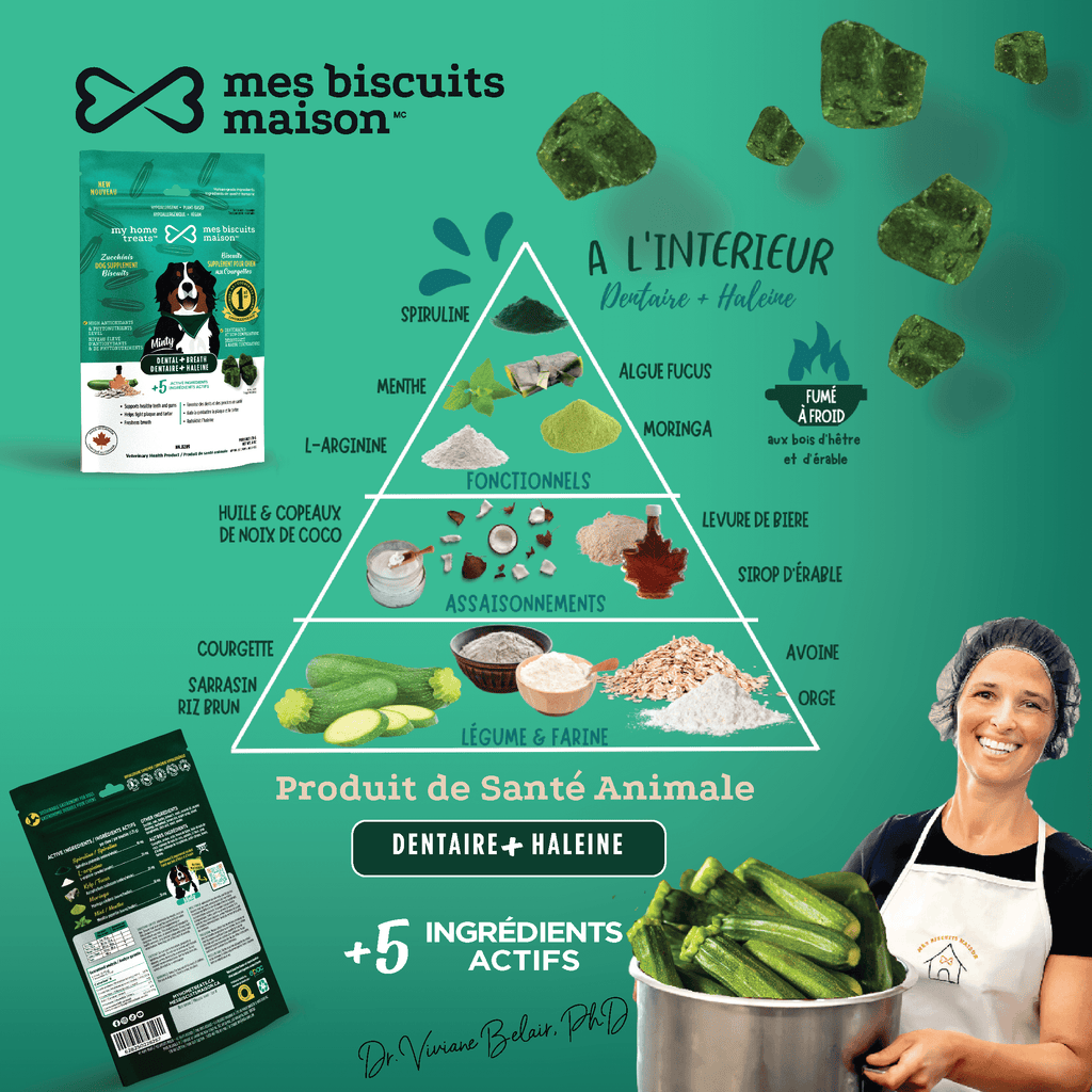 Pyramide d'ingrédients illustrant la composition naturelle des suppléments hypoallergéniques pour la santé dentaire des chiens, en mettant l'accent sur les soins bucco-dentaires.