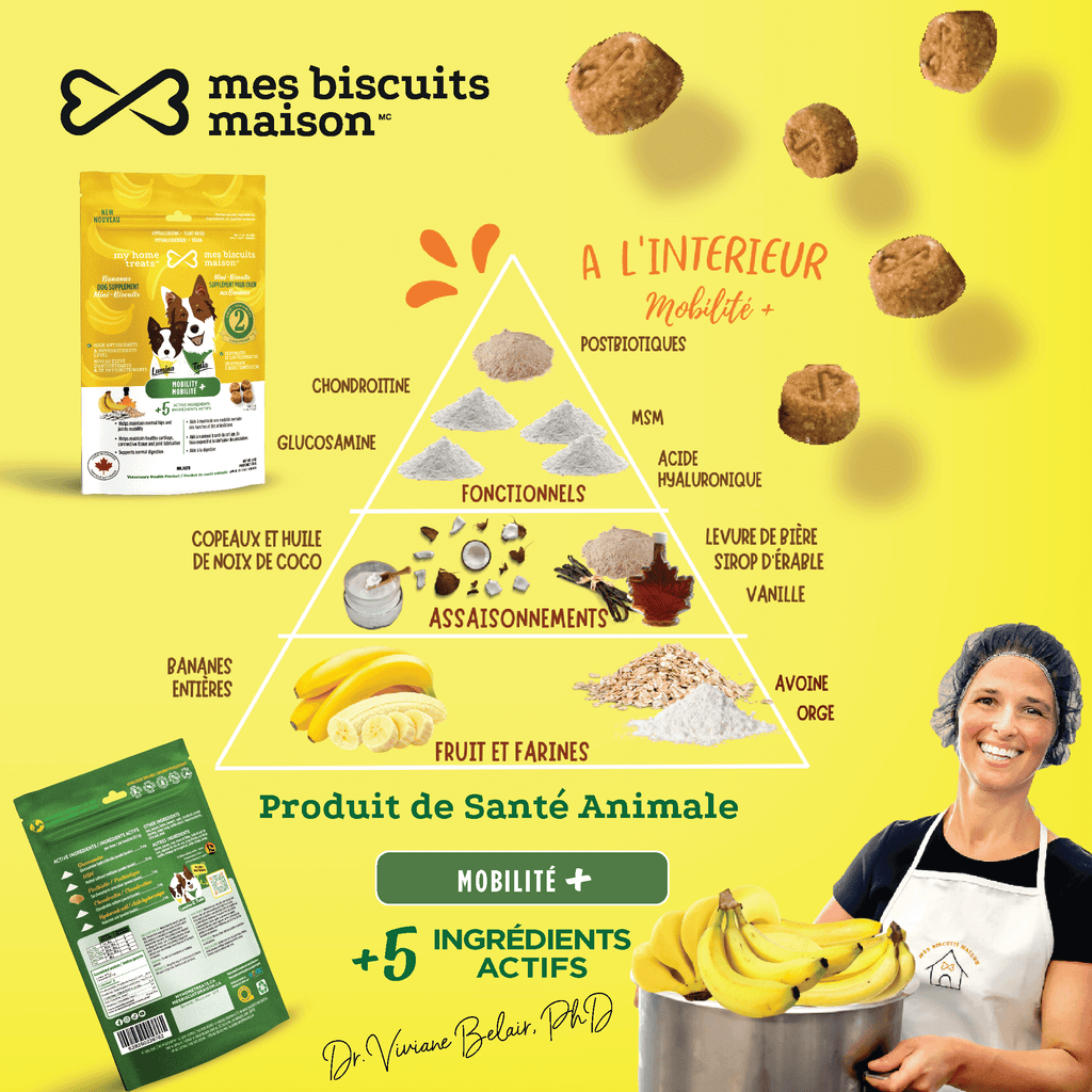 Une pyramide de produits visuellement attrayante présentant des friandises et des compléments hypoallergéniques pour chiens favorisant la mobilité. Met en valeur des ingrédients actifs comme la glucosamine, la chondroïtine et les postbiotiques, ainsi que des fruits et des céréales naturels, parfaits pour soutenir la santé des articulations et la digestion des chiens.