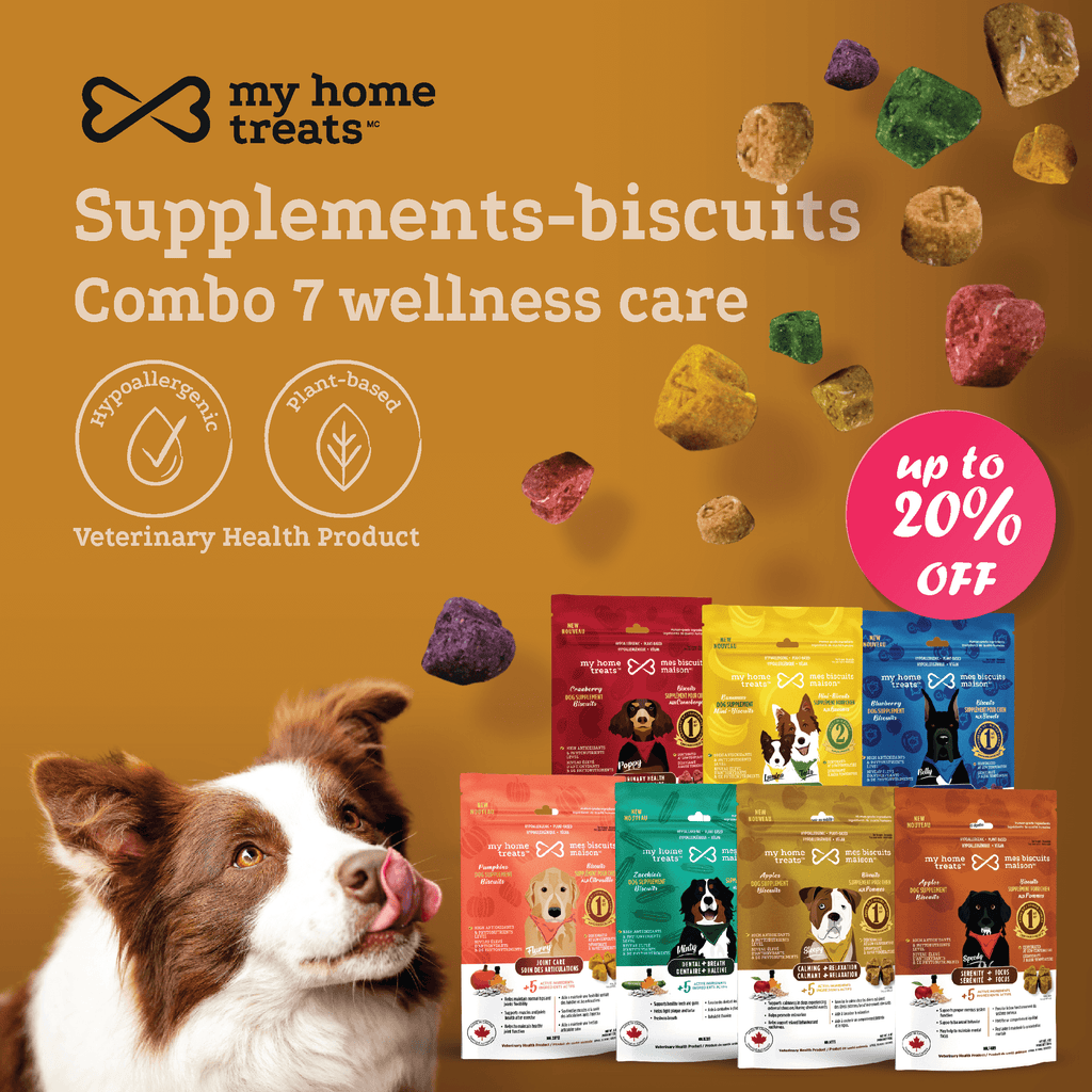 Feature-focused image of My Home Treats bundle showcasing hypoallergenic dog treats & supplements with benefits for wellness, digestion, and mobility.