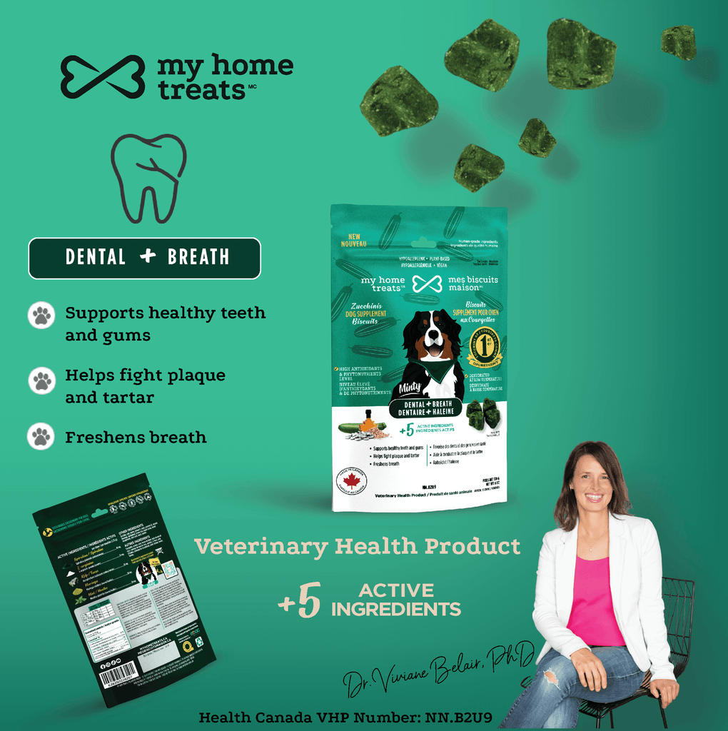 An image of dental health hypoallergenic dog treats & supplements, highlighting active ingredients like spirulina, mint, and kelp for fresher breath and healthy teeth.