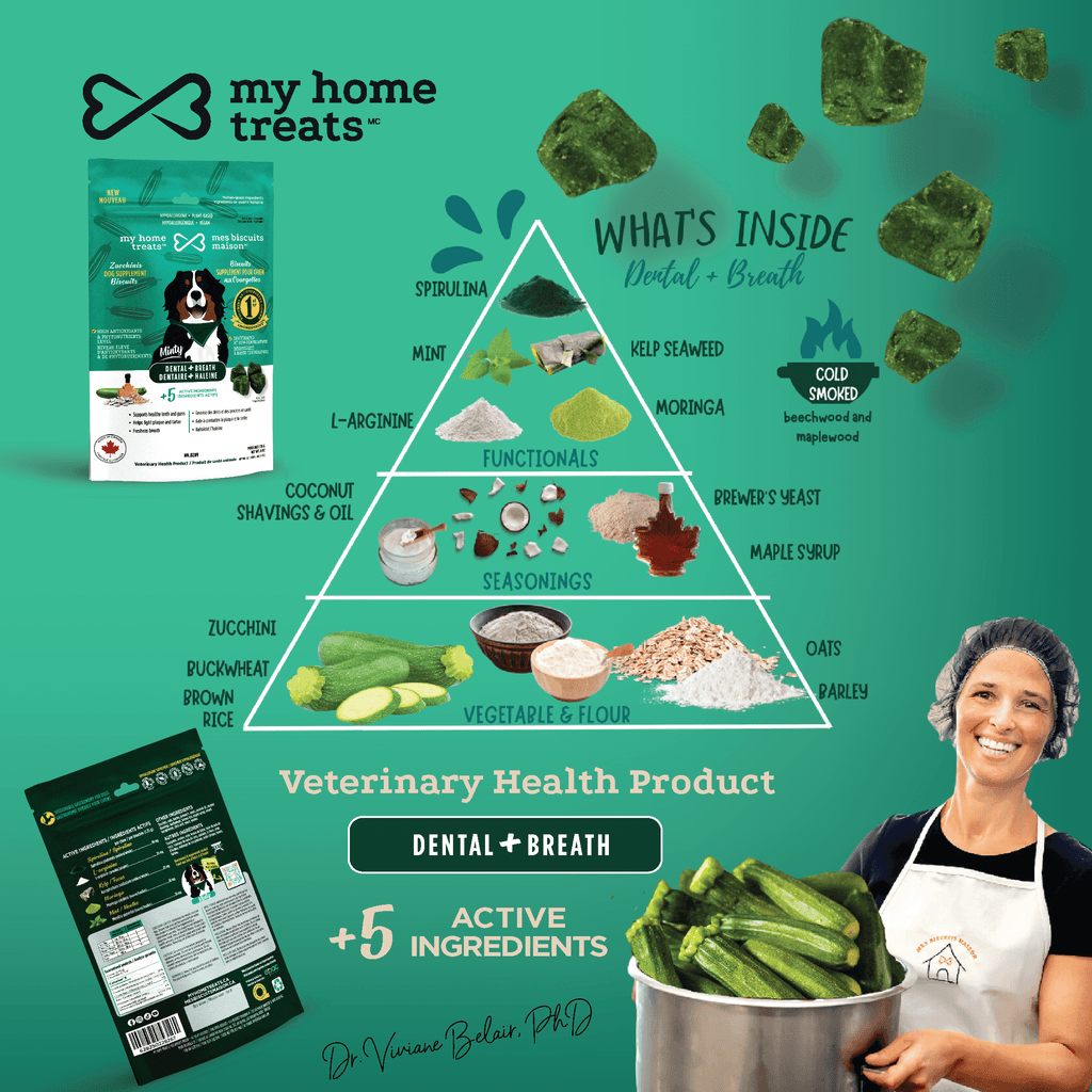 A pyramid breakdown of ingredients for dental health hypoallergenic dog treats & supplements. Features moringa, L-arginine, and zucchini, blended for tartar control and gum care.