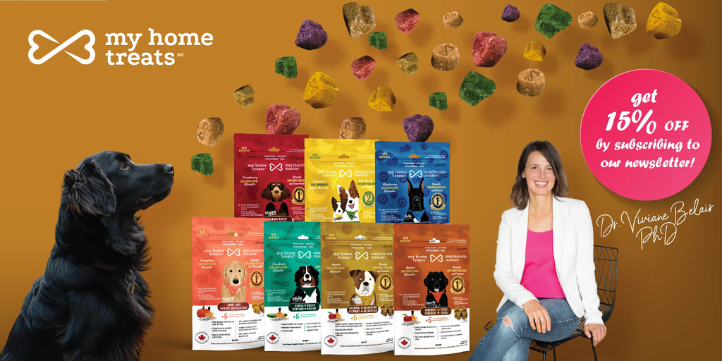 My Home Treats Hypoallergenic Dog Treats Supplements mes biscuits maison my home treats