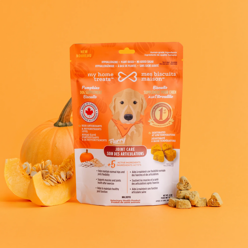 Joint Supplement for Dogs – Natural Anti-Inflammatory + Mobility Support