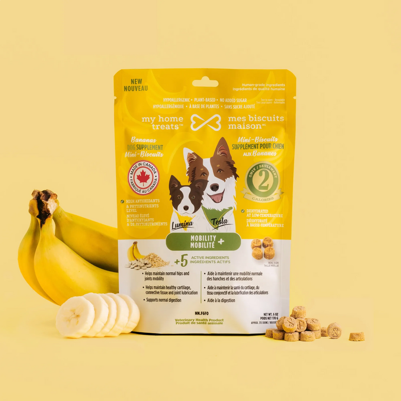 Mobility Dog Supplement with Glucosamine