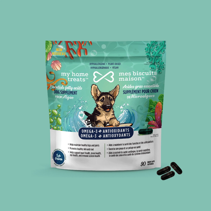 Omega 3 for Dogs (Fish Oil Alternative) – Premium Dog Supplement
