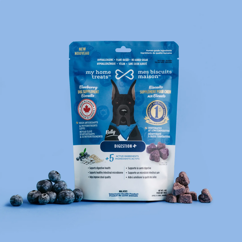 Probiotic Dog Supplement – Gut Health, Digestion & Stool Support