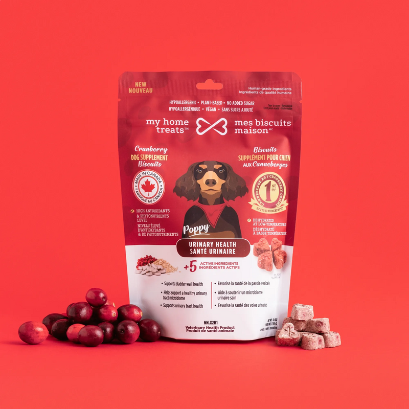 Urinary Health Dog Supplement (UTI Support)