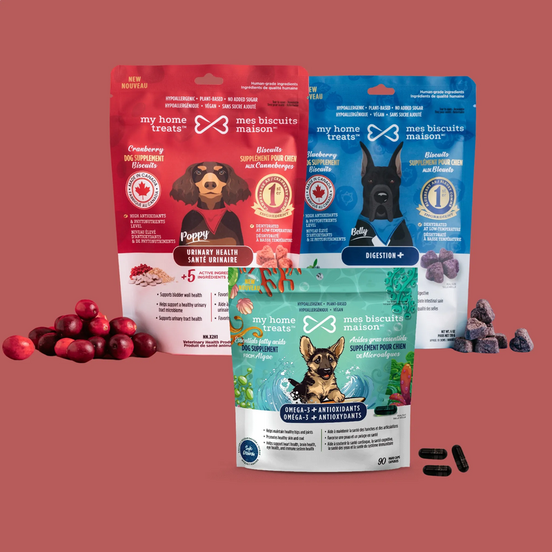 Antioxidant Dog Supplements - BUNDLE AND SAVE