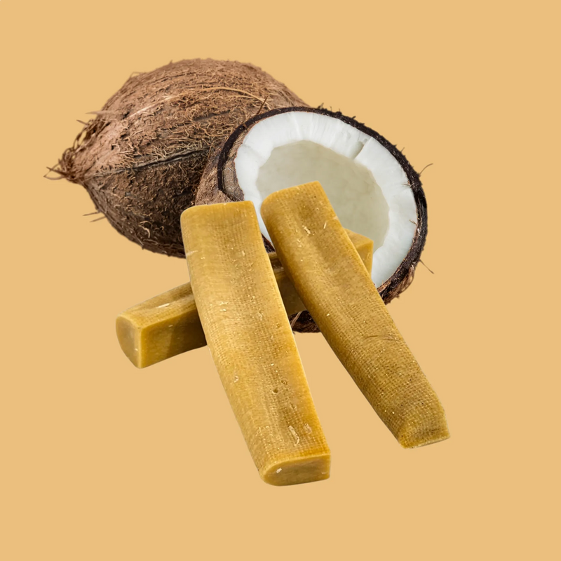 Yak Cheese Dog Chew (Medium) | Natural Long-Lasting Chew